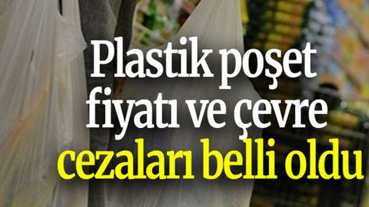Plastik poşet fiyatı ve çevre cezaları belli oldu